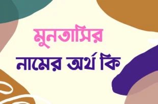 মুনতাসির নামের অর্থ কি